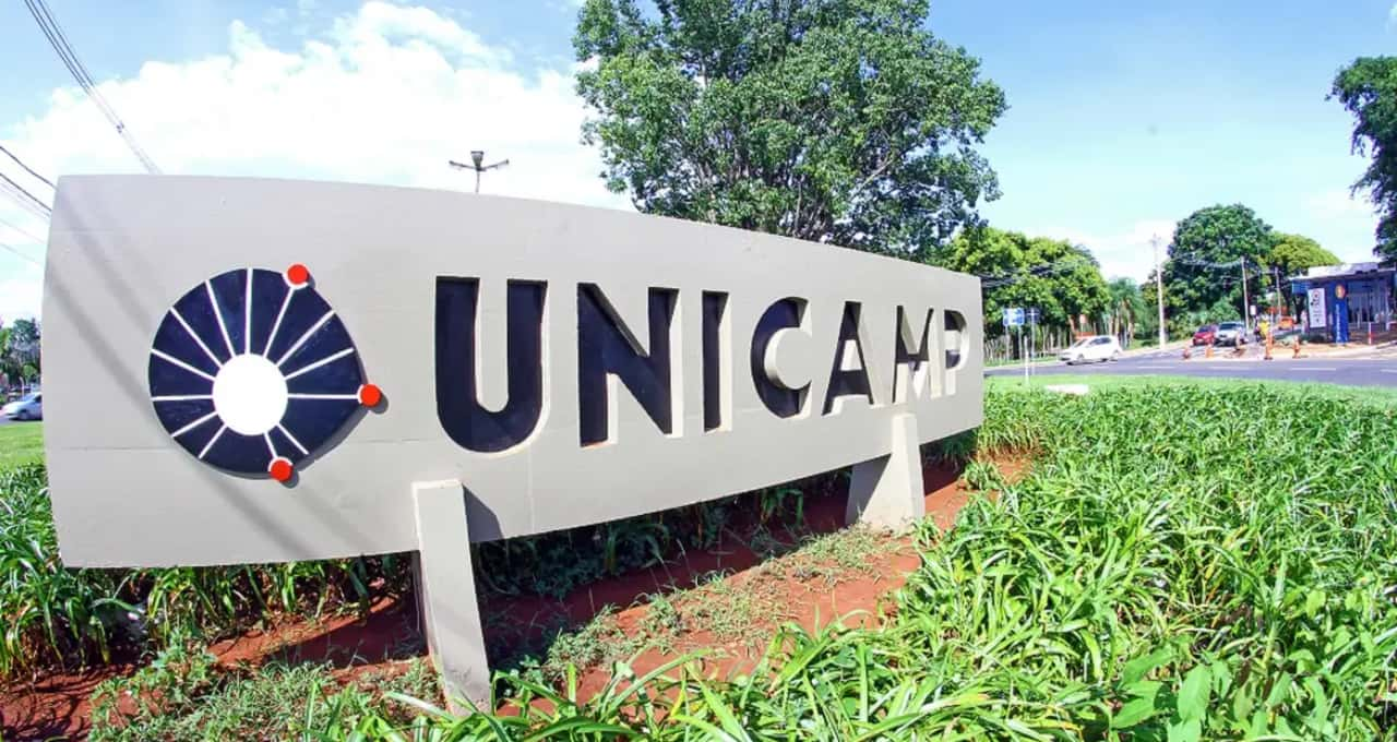 12 cursos de graça da Unicamp para fazer sem sair de casa