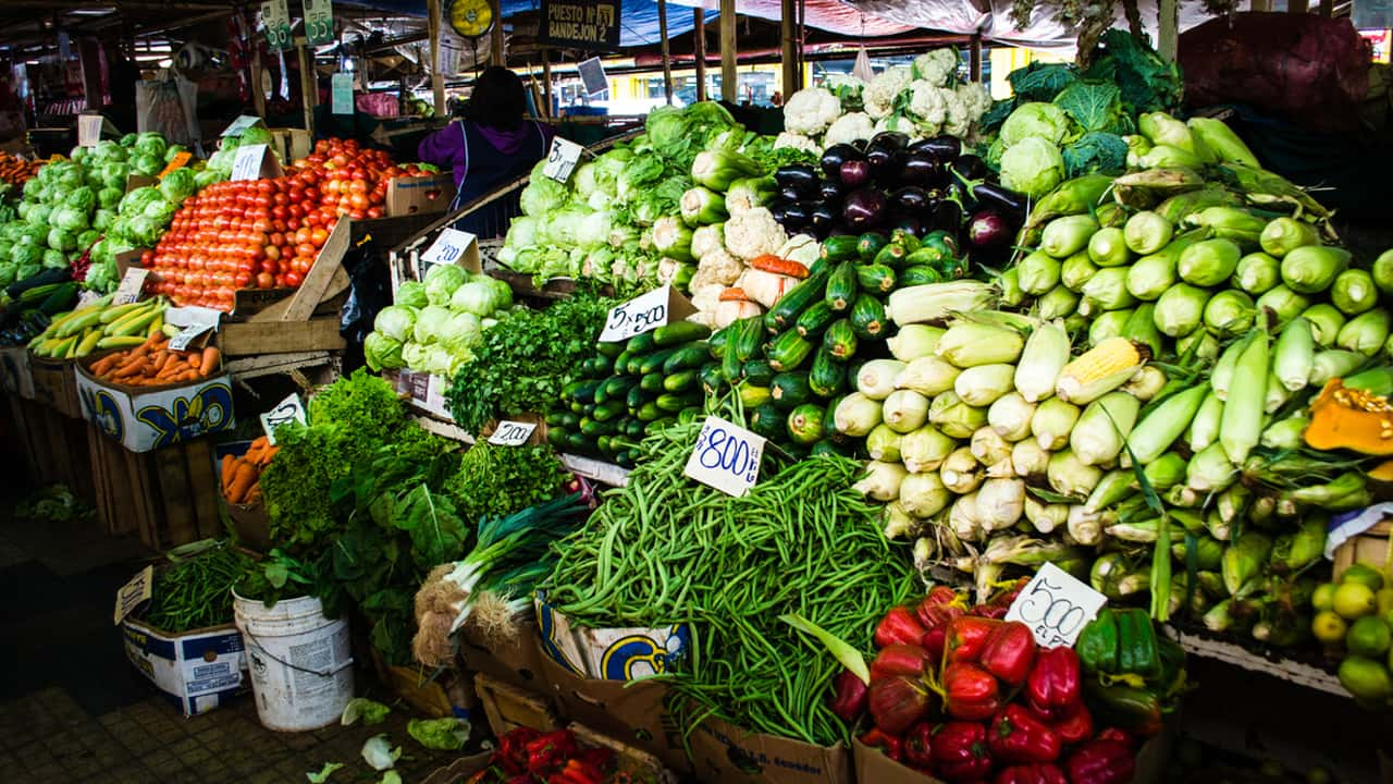 O vegetal mais saudável do mundo e seus benefícios para a saúde