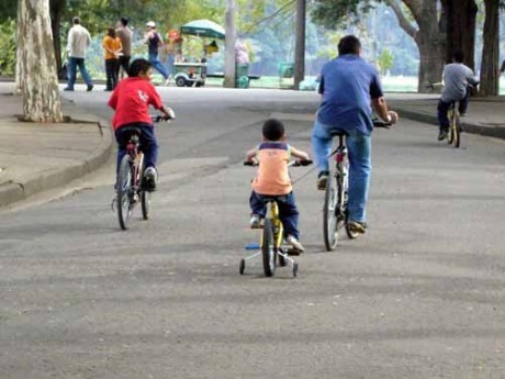 Pai e filhos pedalam no Parque Ibirapuera