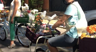 bikes_e_flores