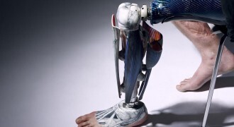 alternative limb project - divulgação