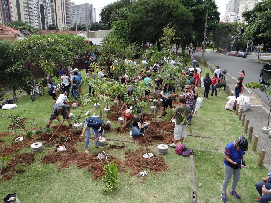 Publicitário cria projeto para plantar árvores por SP