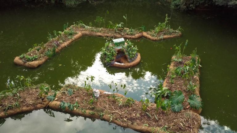 Jardins Flutuantes Purificam As Guas De Lagos E Rios