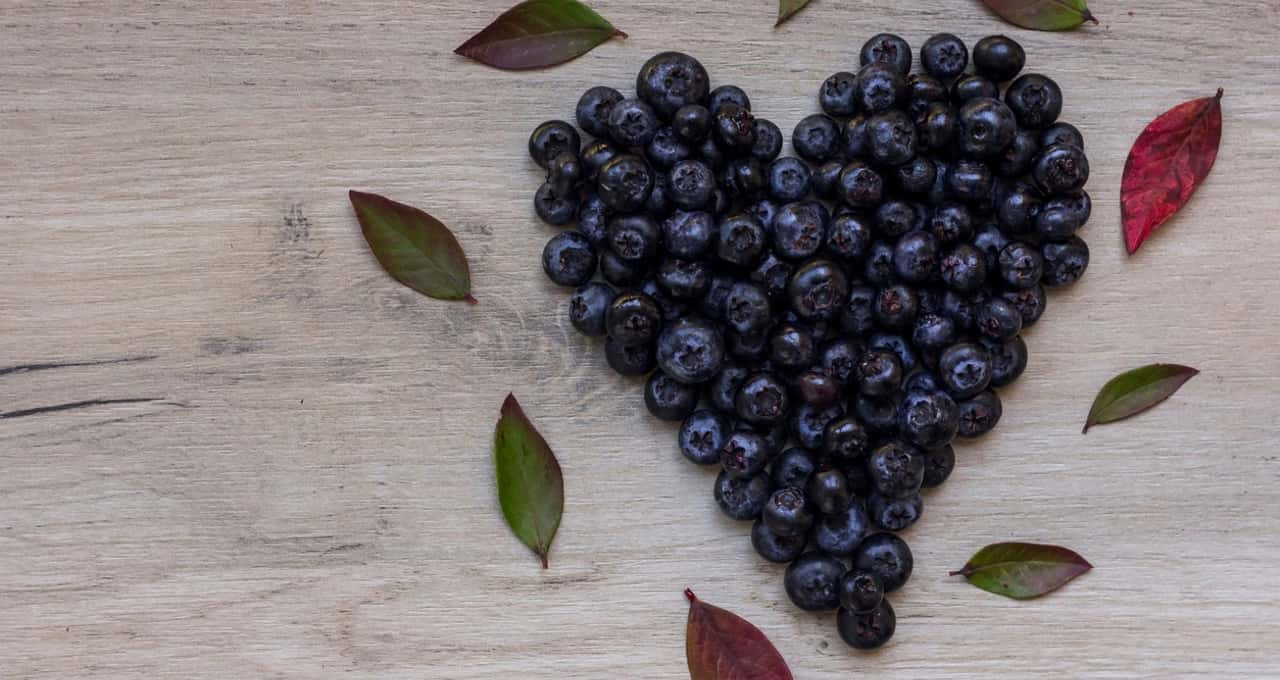 Jabuticaba ajuda a reduzir o colesterol ruim e traz diversos benefícios à saúde