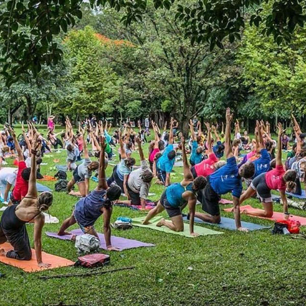 Academias de Aulas De Yoga em Vila Madalena em São Paulo - SP - Brasil