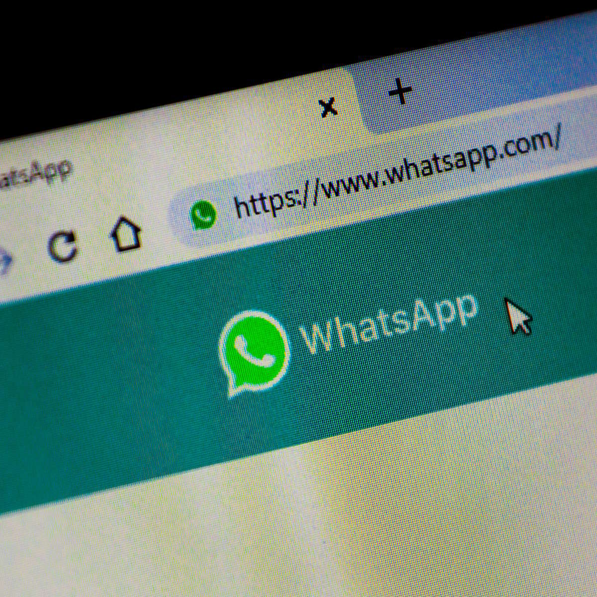 WhatsApp lança compartilhamento de tela durante chamada - 08/08