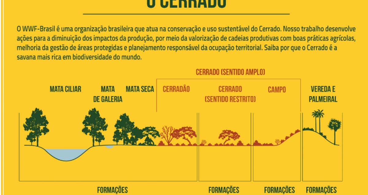 Wwf Cria Infográficos Para Celebrar O Dia Nacional Do Cerrado 0297