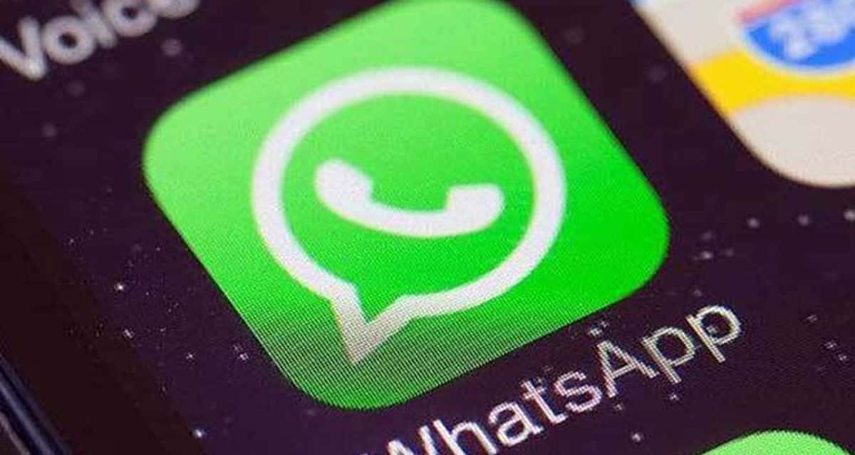 WhatsApp ganha suporte a GIFs animados; veja como usar - Olhar Digital