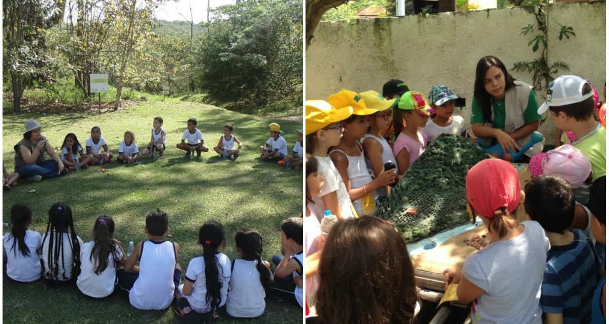 Espaço educativo aproxima crianças da natureza