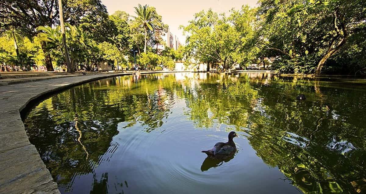 Lugares Perfeitos Para Voc Fazer Um Piquenique No Recife