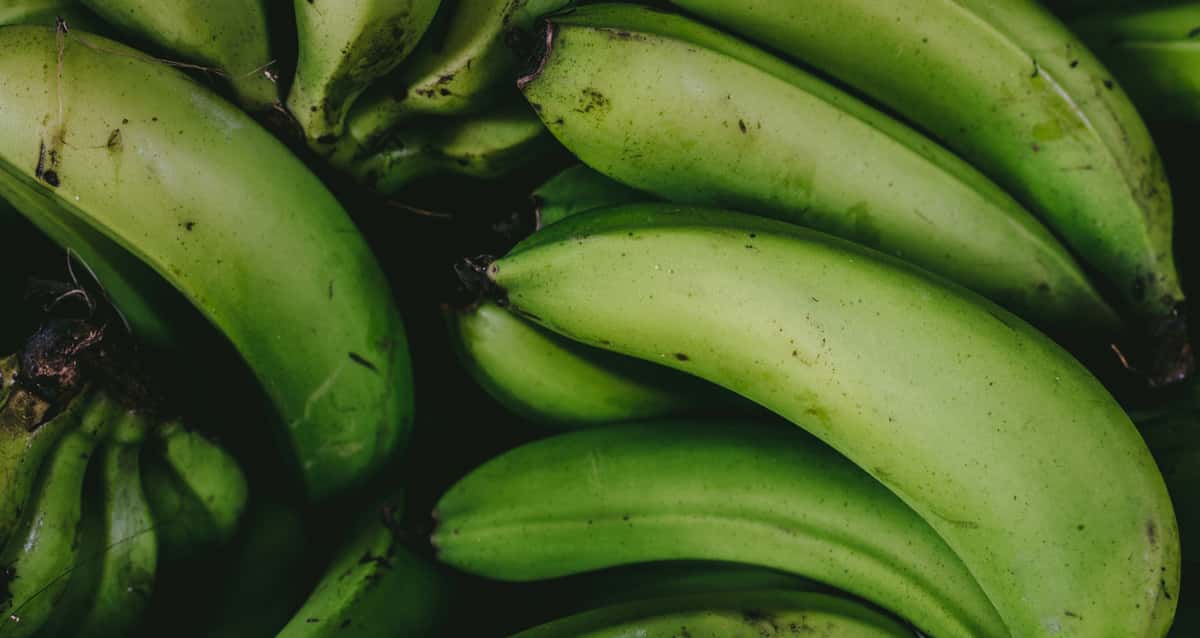 Por que comer uma banana verde por dia pode evitar câncer?