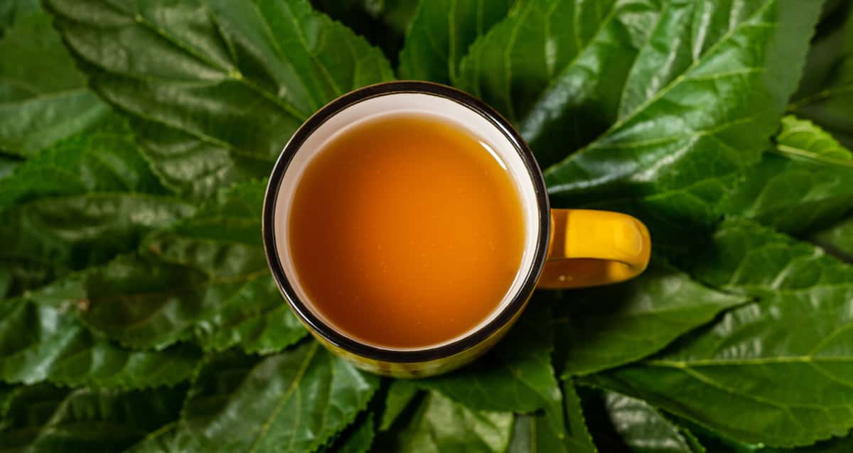 Eine Studie ergab, dass Tee den Blutzucker um etwa 60 % senkt.
