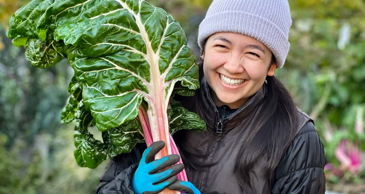 As 10 verduras mais saudáveis para comer todos os dias