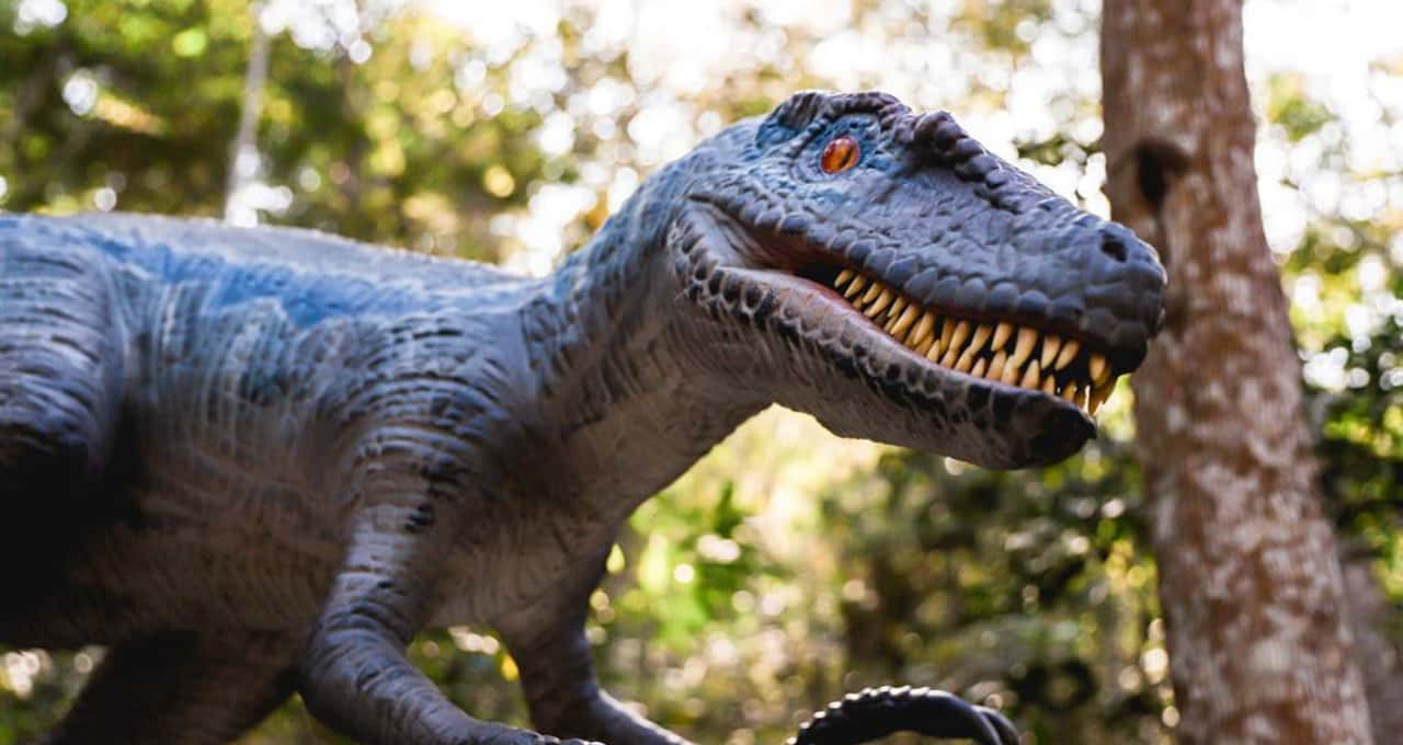 Parque temático Terra dos Dinos é opção de passeio com as crianças