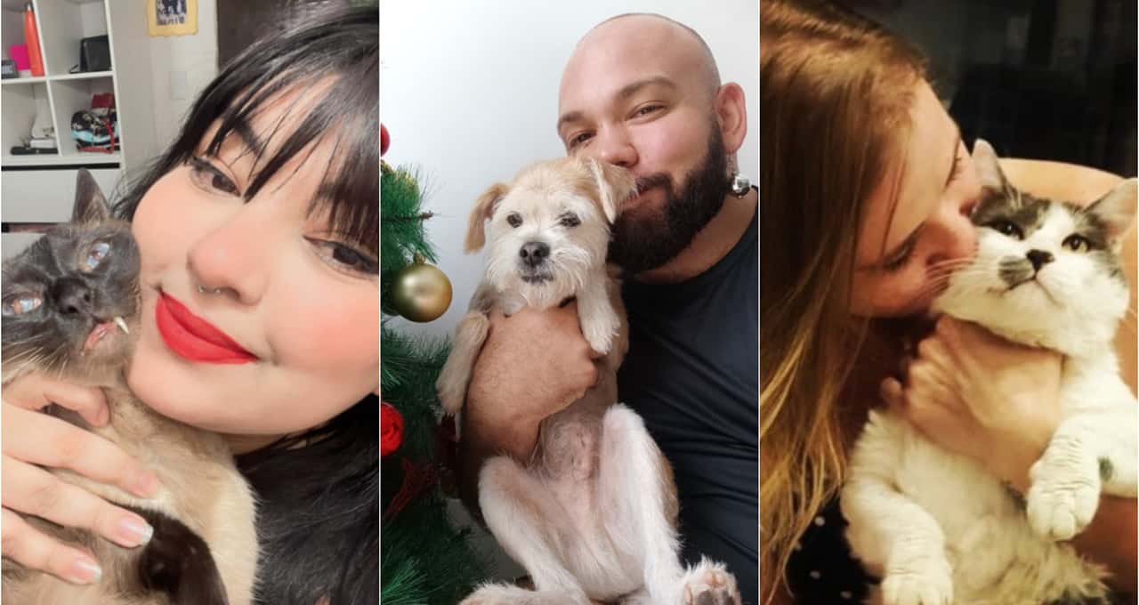 Dia Mundial dos Animais de Rua: conheça os pets mais fofinhos adotados pela Catraca Livre