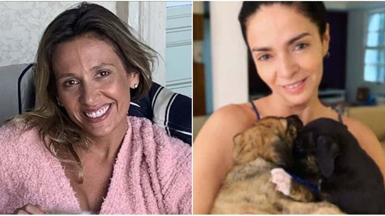 Cláudia Ohana fala sobre polêmica com cães após críticas de Luísa Mell