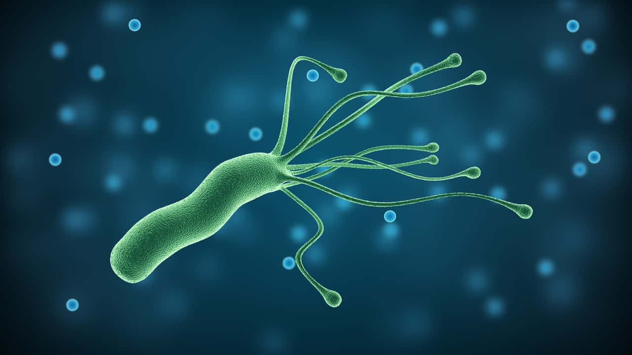 Wie man sich mit Helicobacter pylori infiziert, dem weltweit krebserregenden Erreger