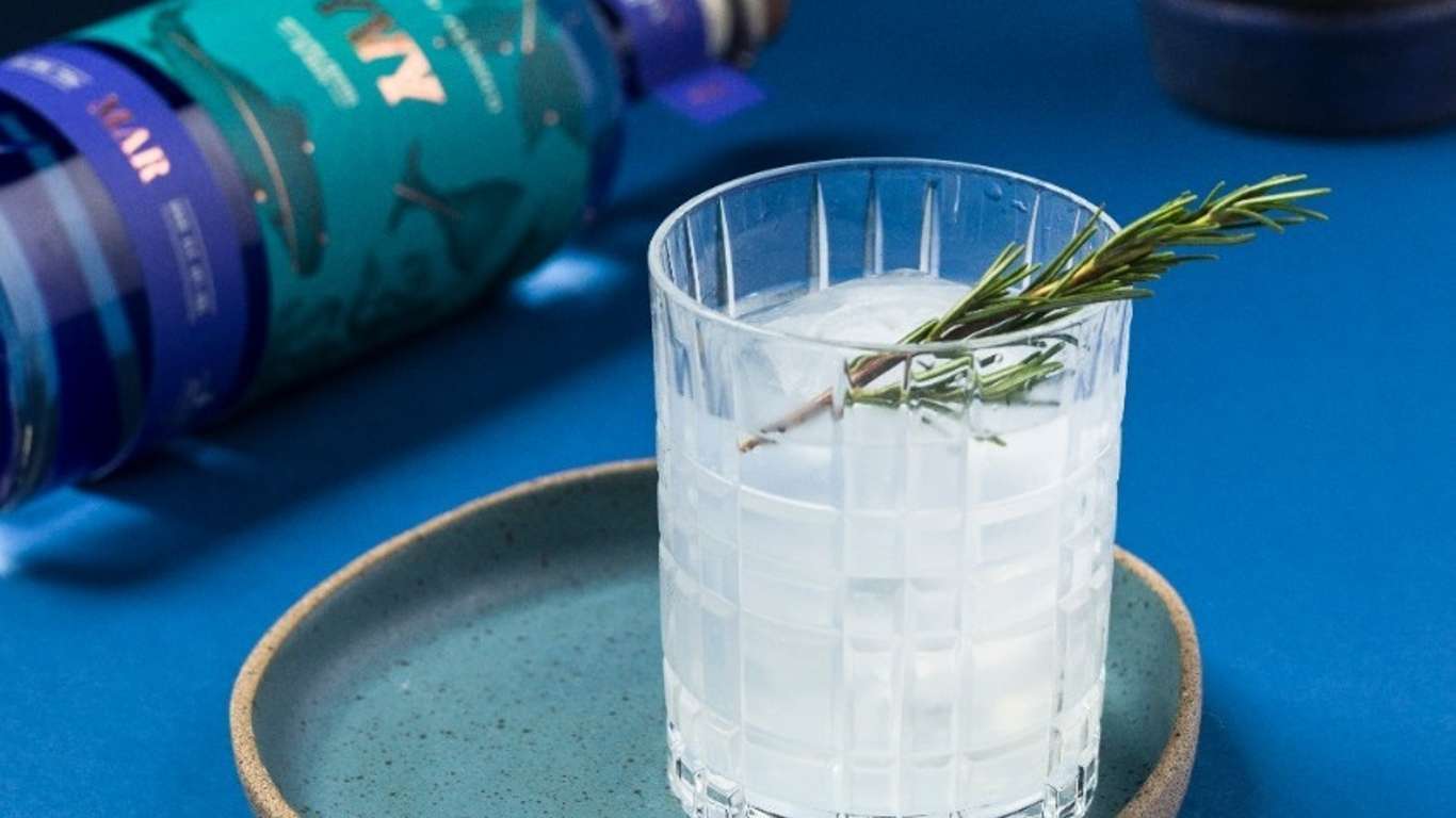 YVY traduz os sabores únicos da biodiversidade brasileira em gin