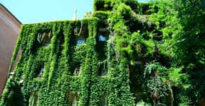 Movimento 90º visa disseminar jardins verticais por São Paulo