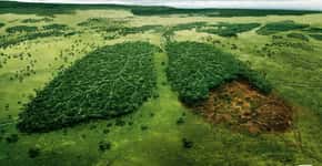 Time Lapse do Google mostra desmatamento da Amazônia e derretimento de geleiras