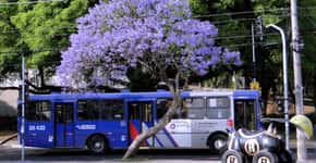 Planilhas do transporte público de São Paulo estão disponíveis na internet