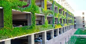 Jardim vertical em estacionamento nos EUA opõe carros e natureza