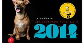 Calendário dá destaque para cachorros vira-lata e reverte verba para castração