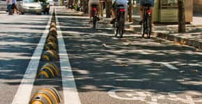 “Tatu” sustentável divide rua entre bikes e carros