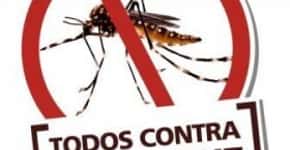 Três maneiras simples para prevenir o mosquito da dengue