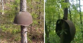Capacetes, armas e granadas nascem em meio à floresta na Rússia