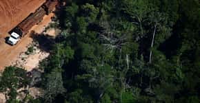 A destruição da Floresta Amazônica nas lentes de Rodrigo Baleia