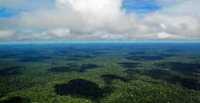 Aplicativo alerta sobre distribuição de água e doenças na região amazônica