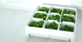 Superprático: aprenda a porcionar e congelar ervas frescas