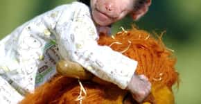 Macaco abandonado é tratado como criança em zoológico da Macedônia