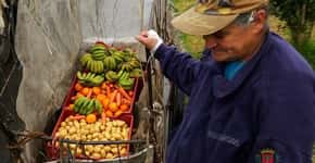 Curitiba troca lixo reciclável por frutas e verduras