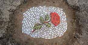 Artista usa flores para tapar e denunciar buracos de Chicago