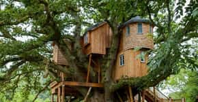 Em Harmonia com a natureza: empresa desenvolve casas na árvore no meio da floresta