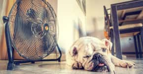 10 dicas para aliviar o calor sem gastar muita água e energia