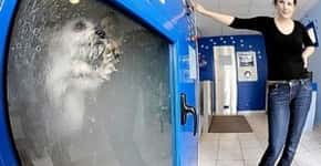 Francês cria máquina de lavar cães e causa preocupação entre os protetores de animais
