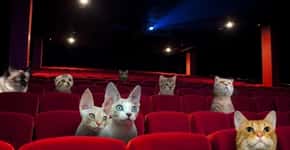 “Cat cinema” tem filmes na companhia de gatos