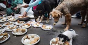 Mulheres distribuem refeição para cães sobreviventes do terremoto no Nepal