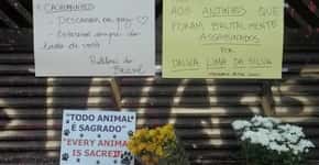 Em decisão histórica, assassina de animais é condenada a 12 anos de prisão no Brasil