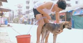 Homem dá banho em cachorros de rua na Tailândia
