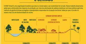 WWF cria infográficos para celebrar o ‘Dia Nacional do Cerrado’