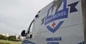 Nina Móvel, a primeira ambulância UTI veterinária gratuita do planeta