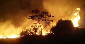 Número de incêndios florestais cresce 27,5% no Brasil em 2015
