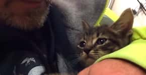 Pessoas se mobilizam para resgatar gatinho preso em tubulação de esgoto