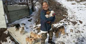 Sul-coreana de 61 anos salva cães de virarem comida