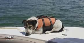 Cão é resgatado após passar três horas em alto mar