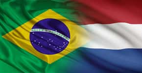 Cinco oportunidades de emprego para brasileiros na Holanda